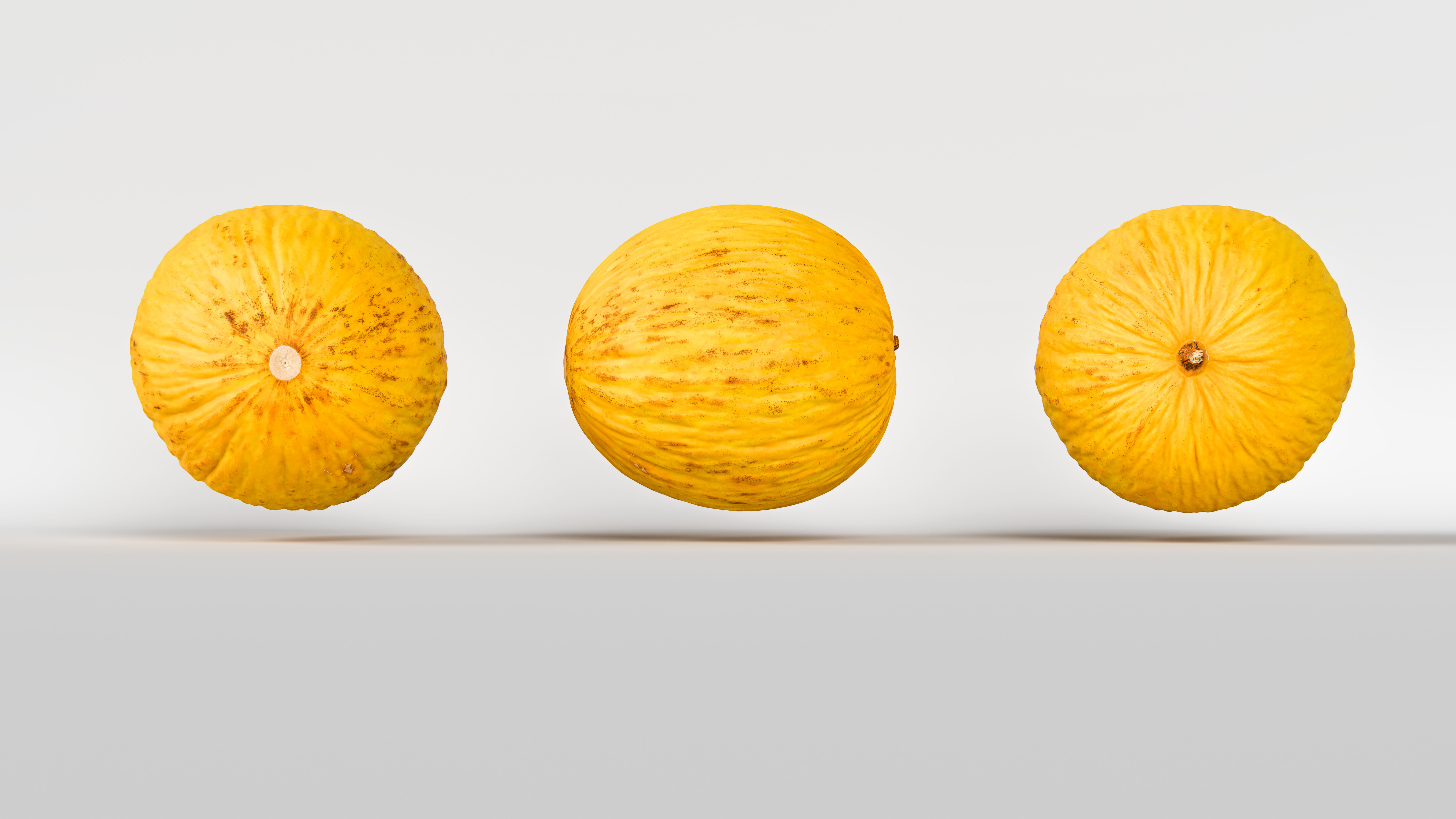 Melon 3D model_4