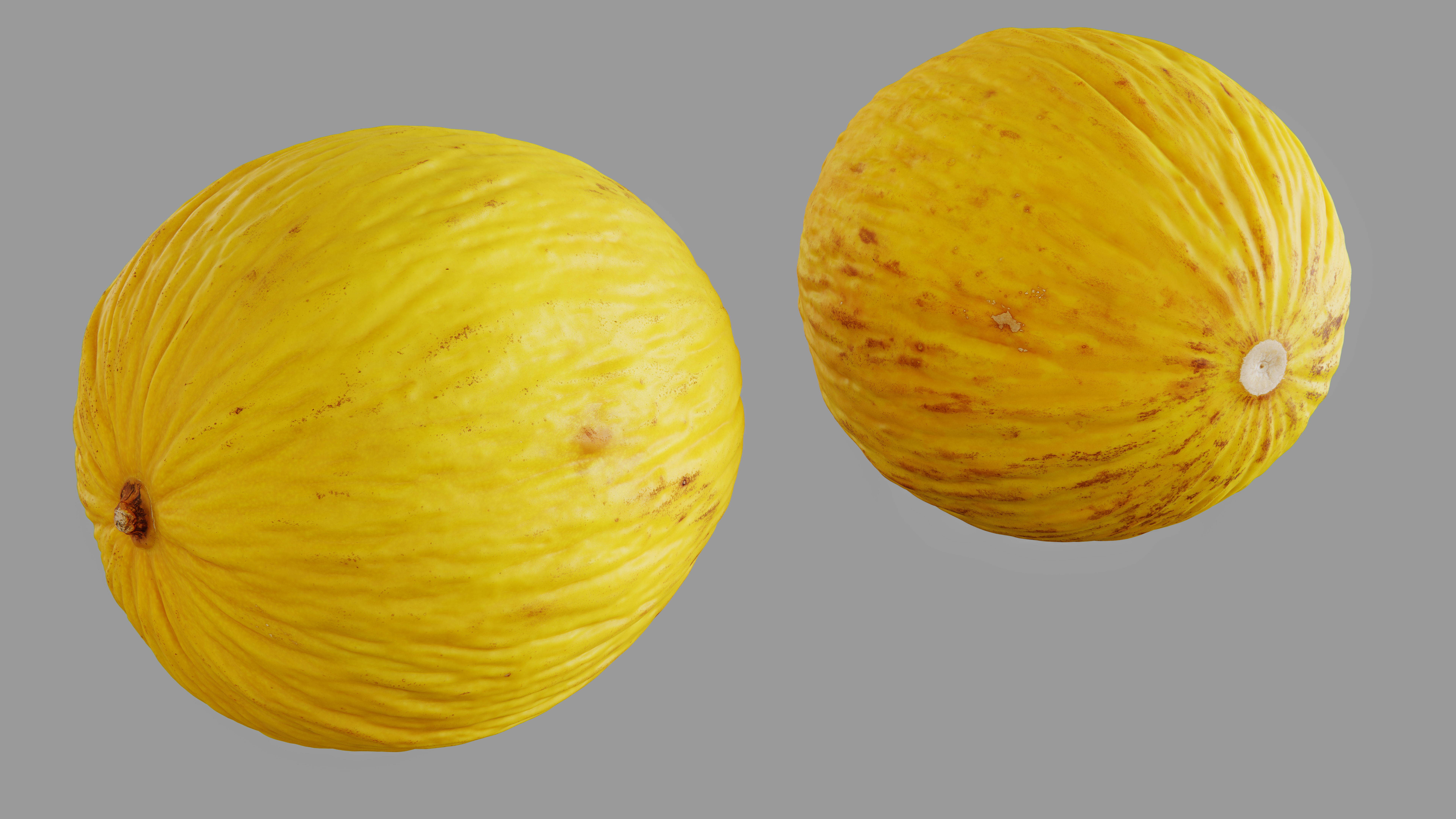 Melon 3D model_11