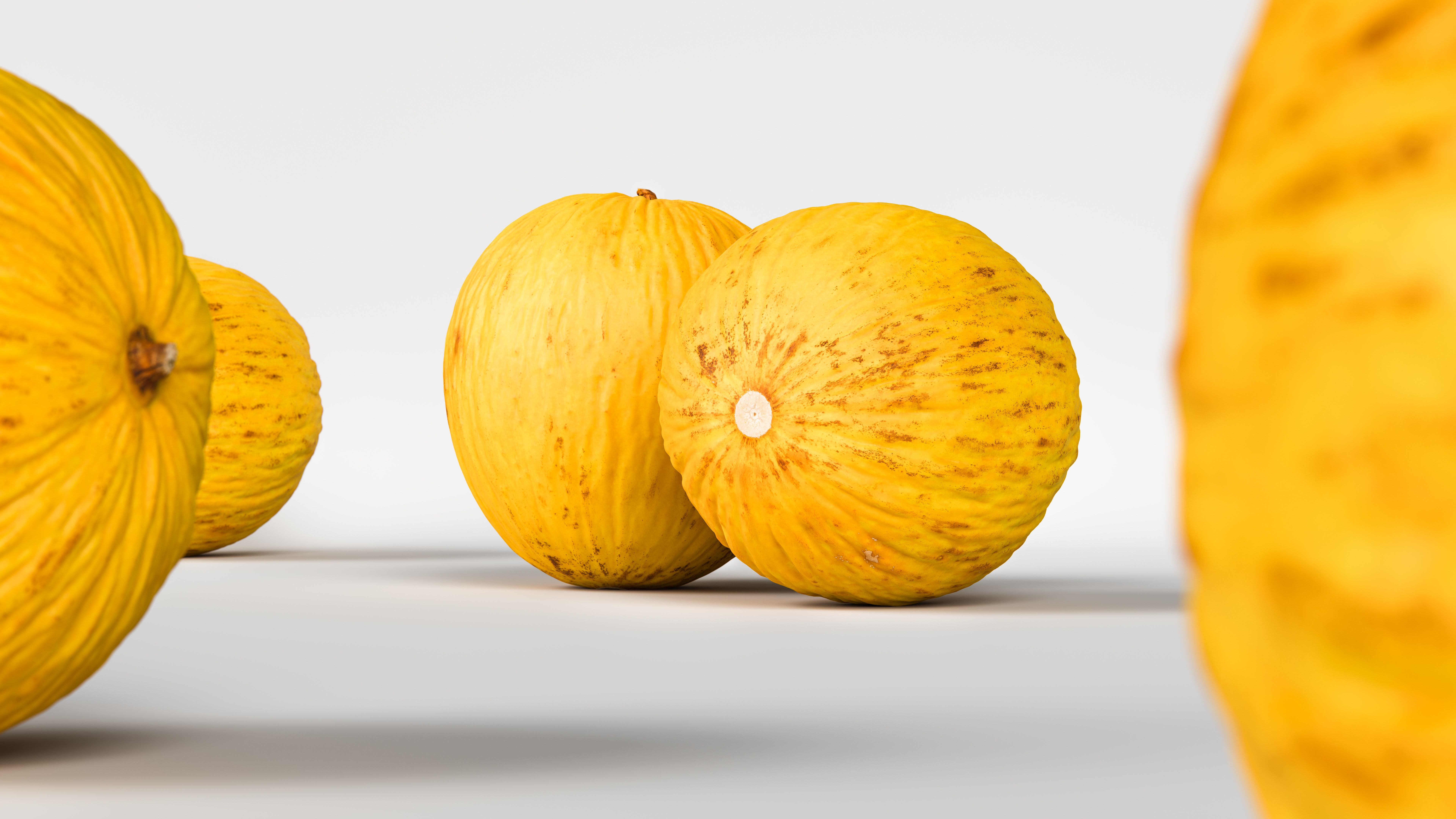 Melon 3D model_1