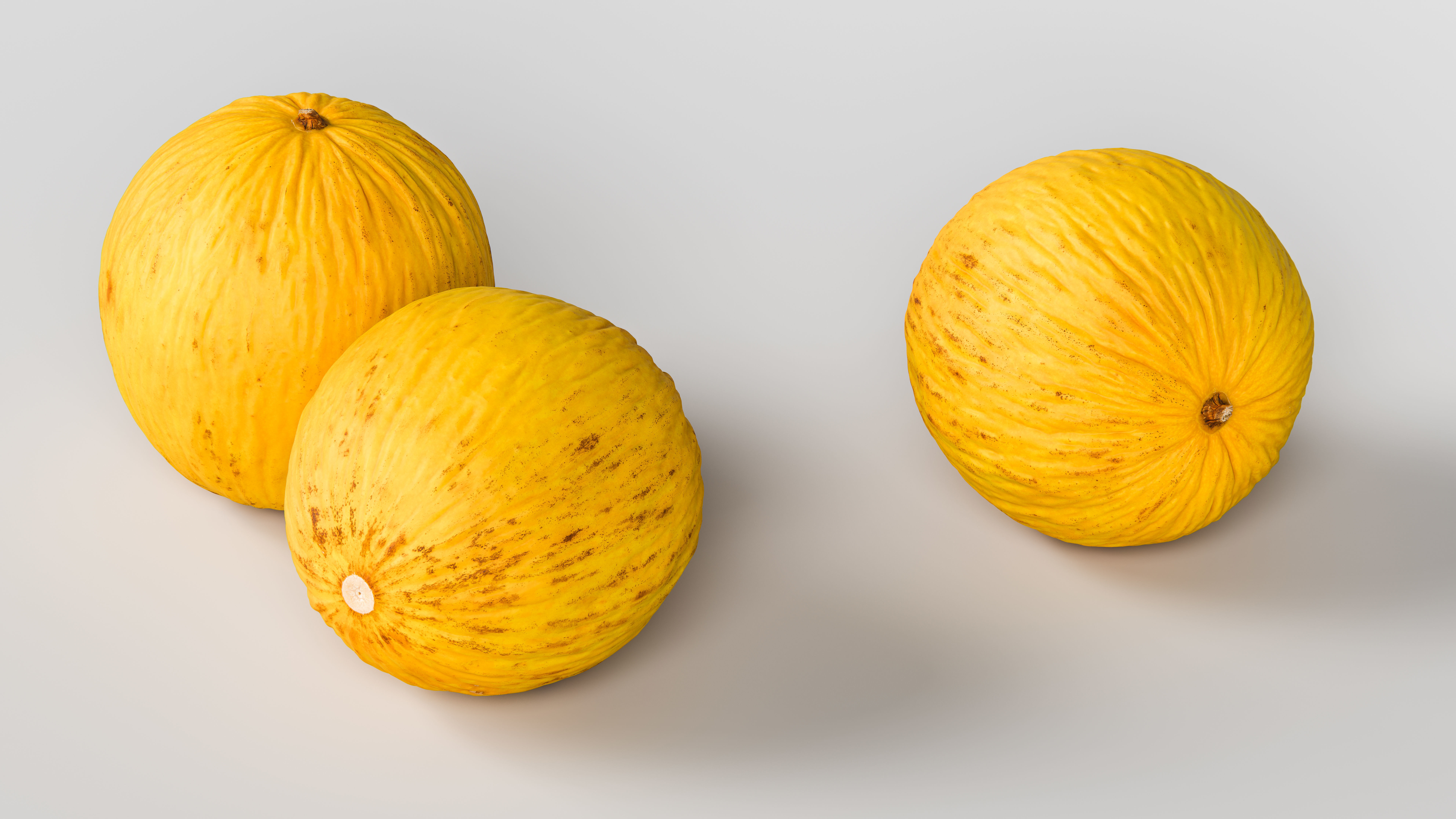 Melon 3D model_2