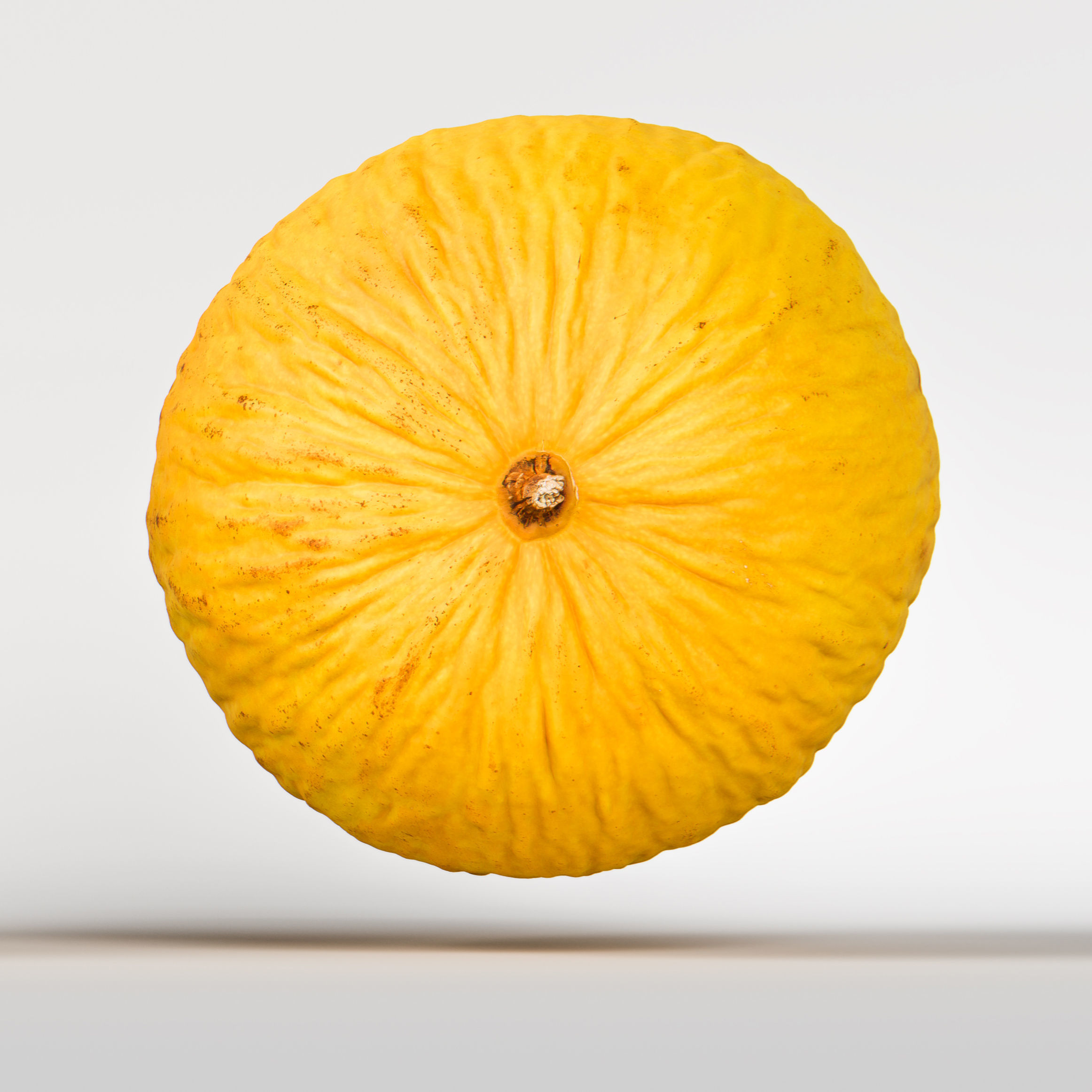 Melon 3D model_7