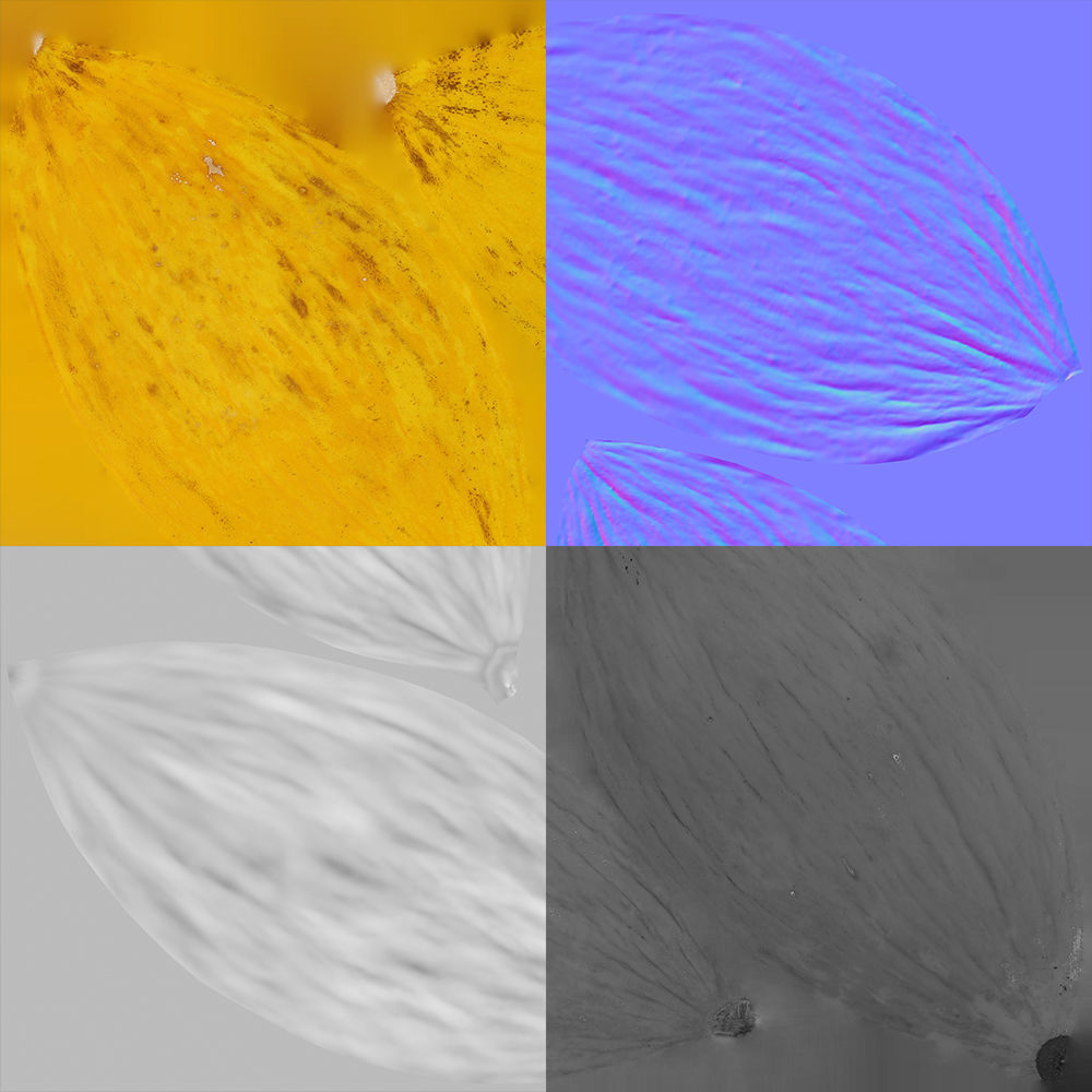 Melon 3D model_10