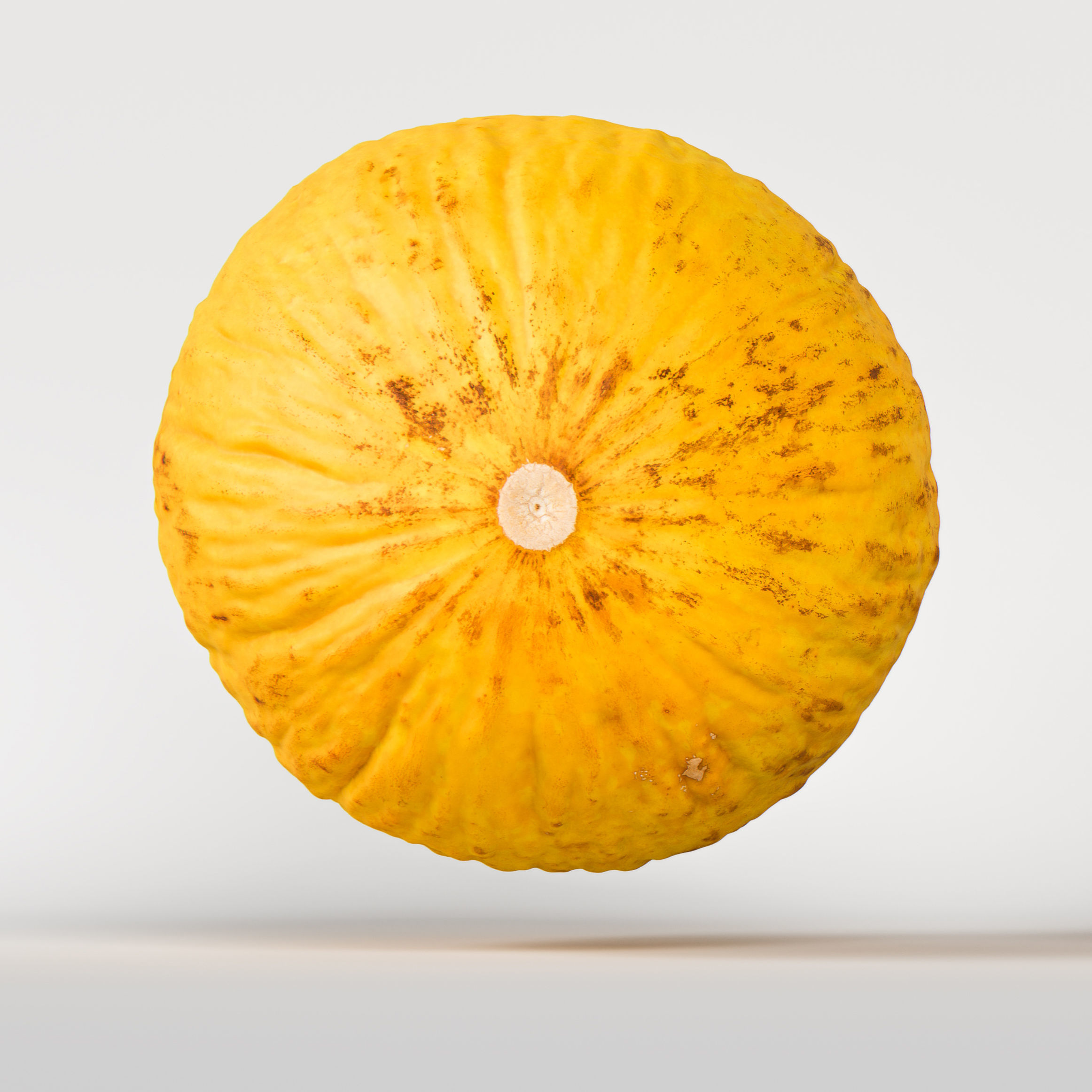 Melon 3D model_5
