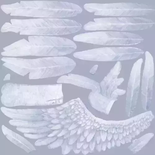 Jay Models Free 3D model