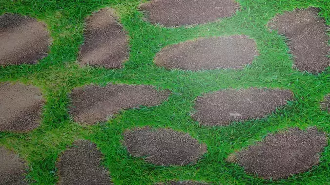 High textured grass plane land