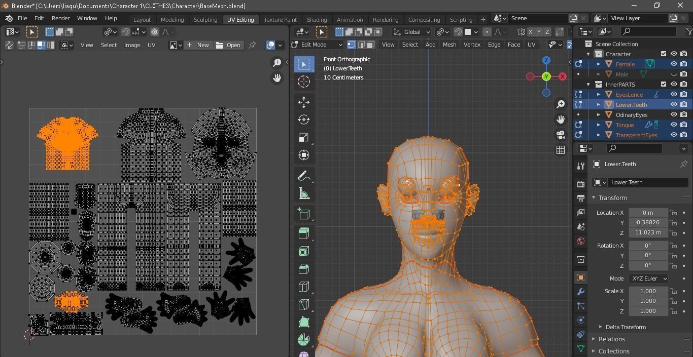 BaseMesh Free 3D model_15