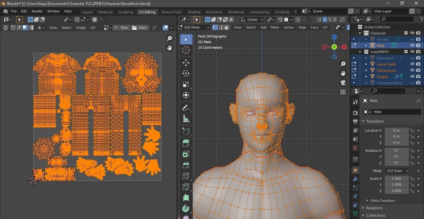 BaseMesh Free 3D model_16
