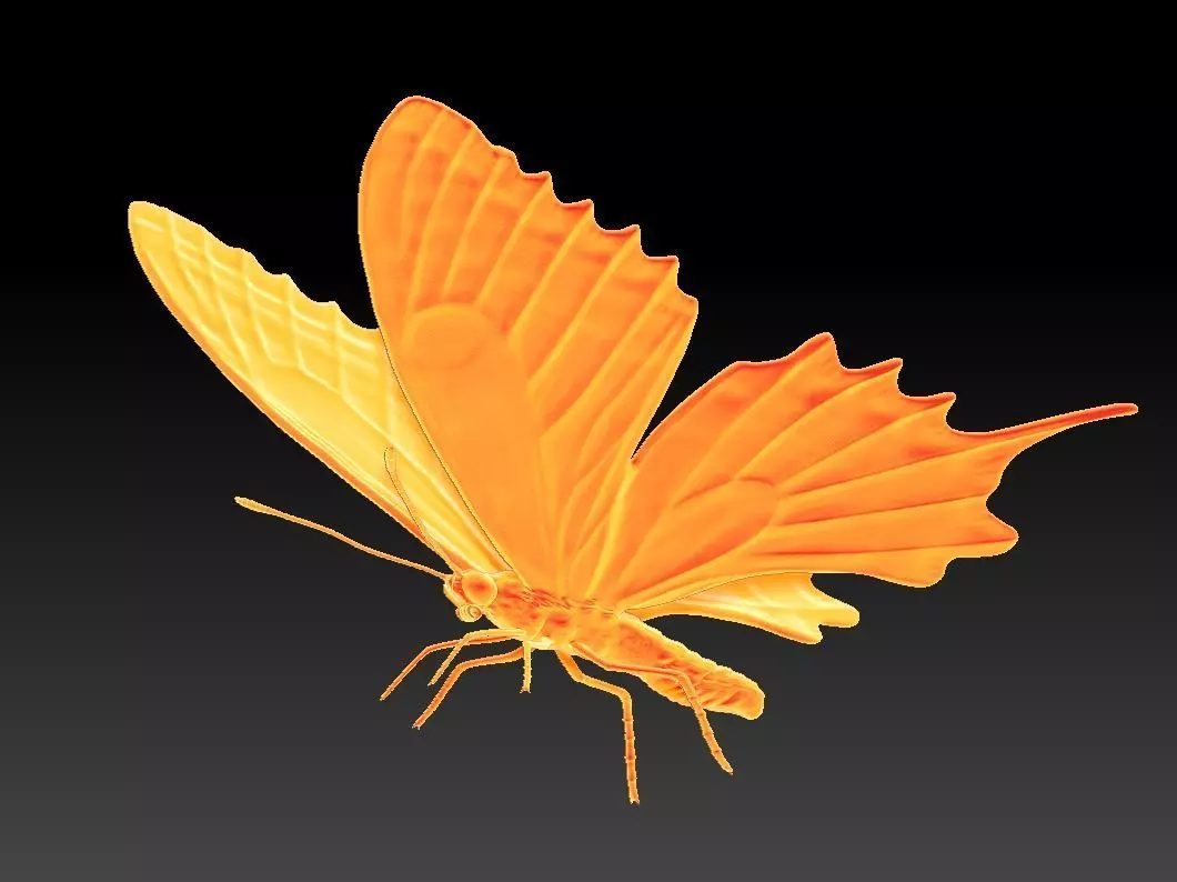 butterfly orange 3D print model_0