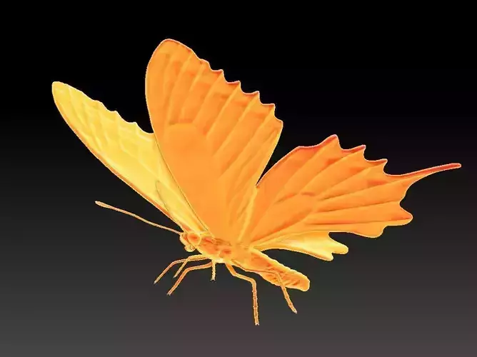 butterfly orange 3D print model