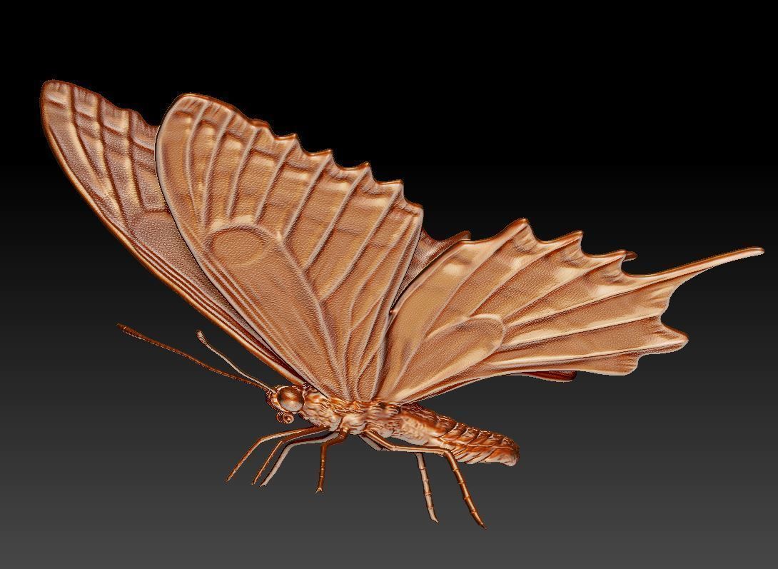 butterfly orange 3D print model_2