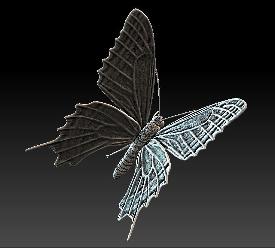 butterfly orange 3D print model_4