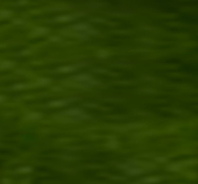 Bunk Bed Gaming Setup Free 3D model_2