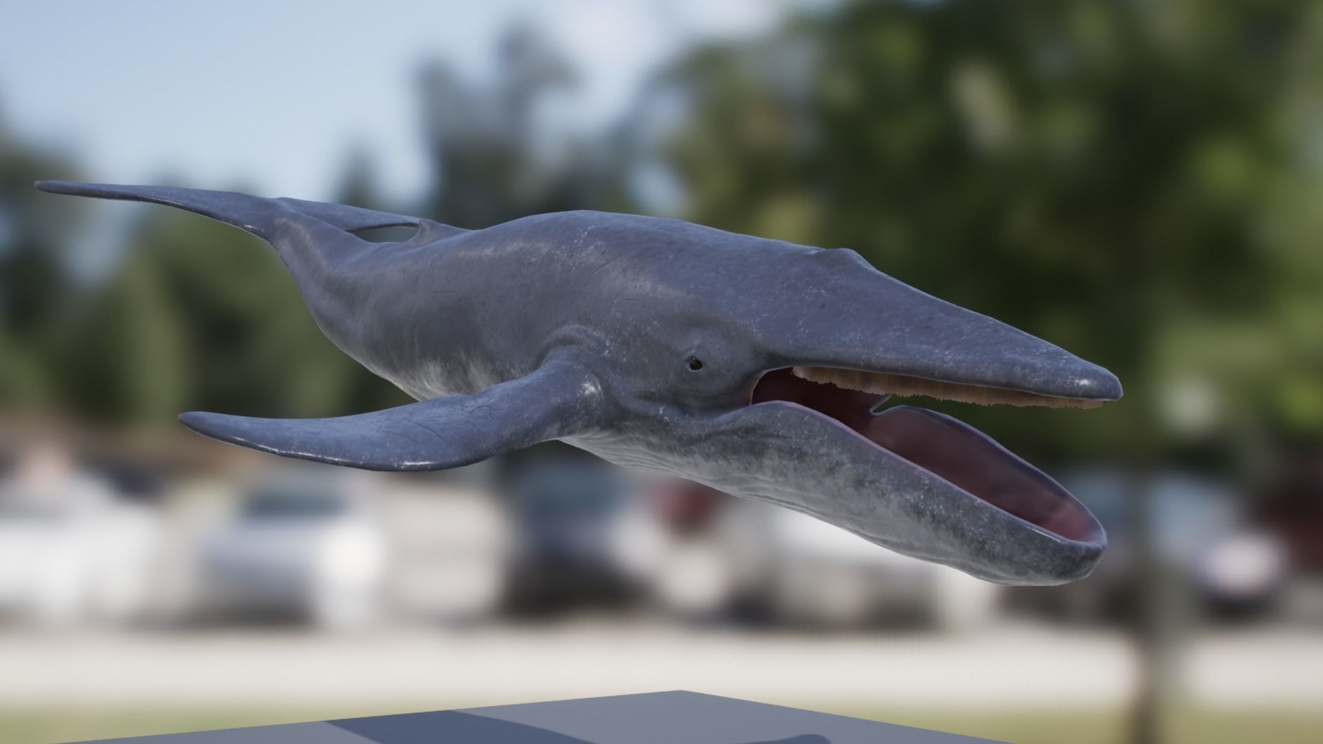 Blue Whale Low-poly 3D model_9