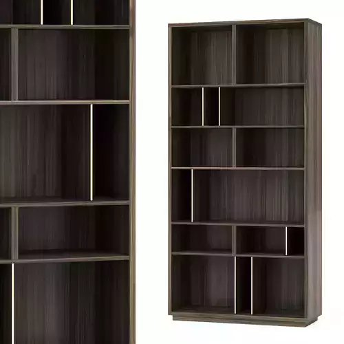 Lich 2 Bookcase