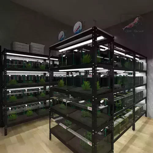 Shrimp room Aquarium 3D model