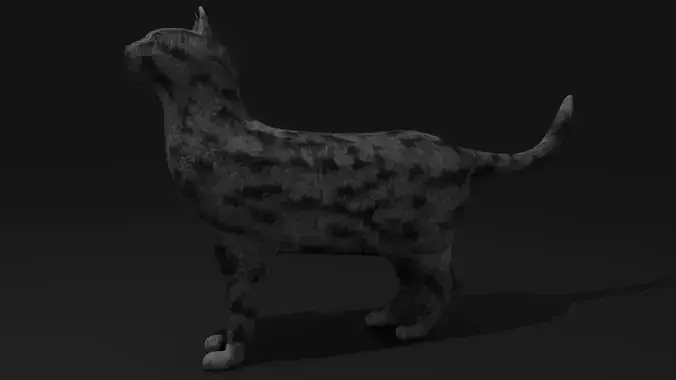 Low poly Cat