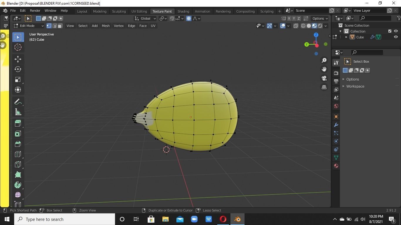 Corn Seed 3D model_1