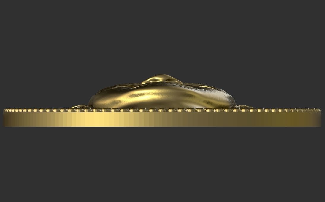 Jeff Bezos medallion pendant 3D printing ready stl obj 3D print model_11