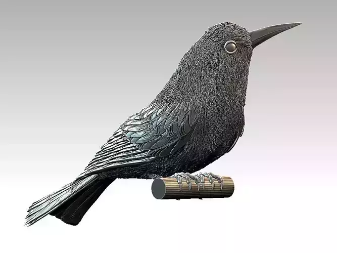 Meropidae bird on wooden stick 3D print model
