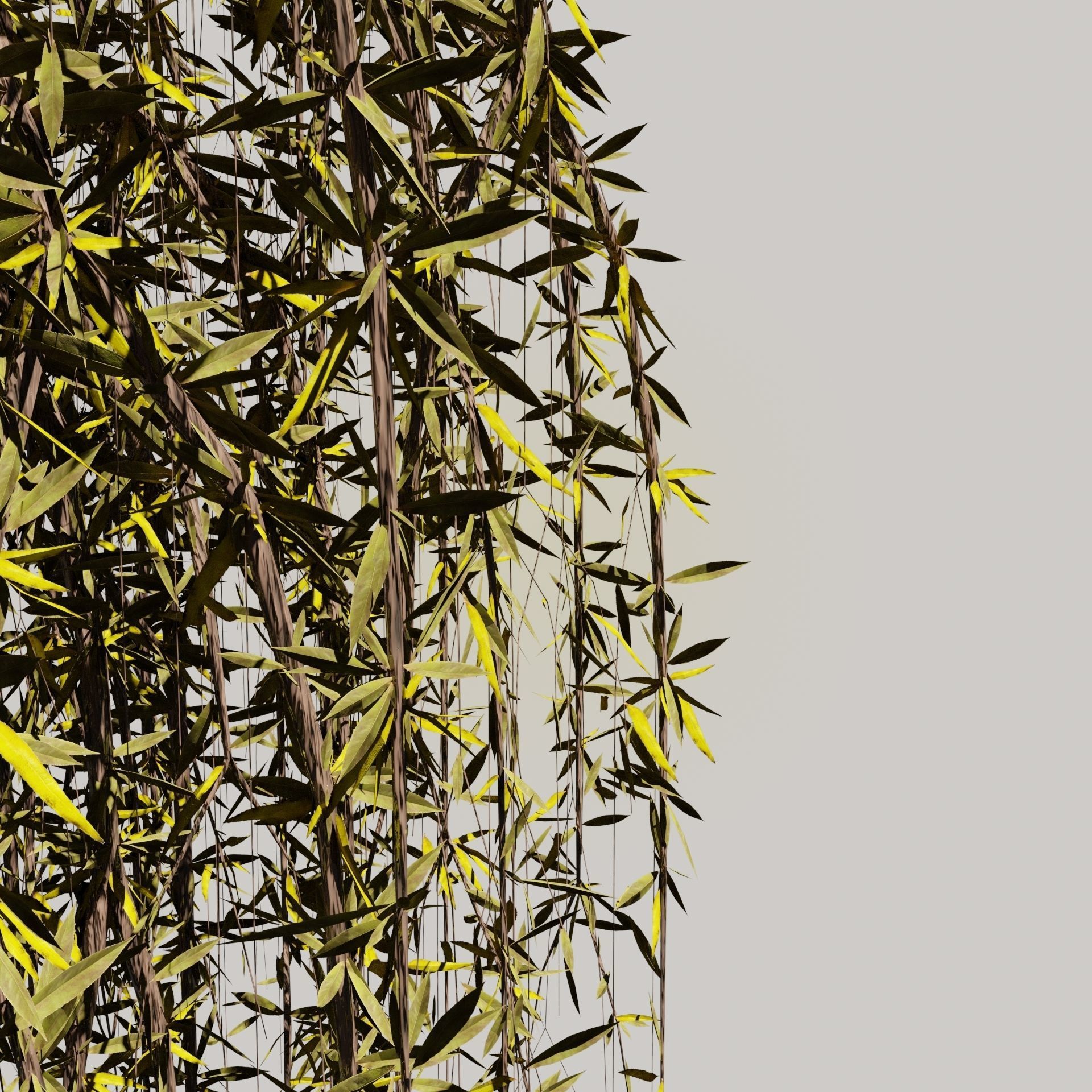 The Willow Tree high poly 3D model Free 3D model_6