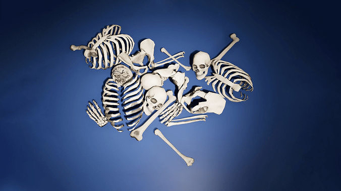 Game Ready Skulls and Bones Pack Low-poly 3D model