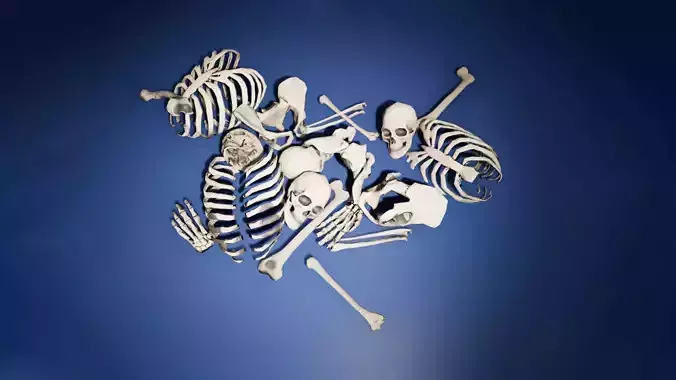 Game Ready Skulls and Bones Pack