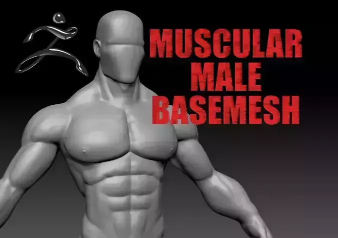 Muscular male basemesh