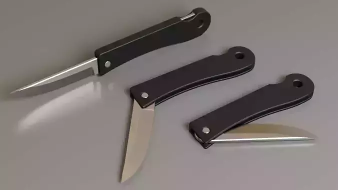penknife pocket knife