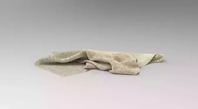 Cloth FBX 698