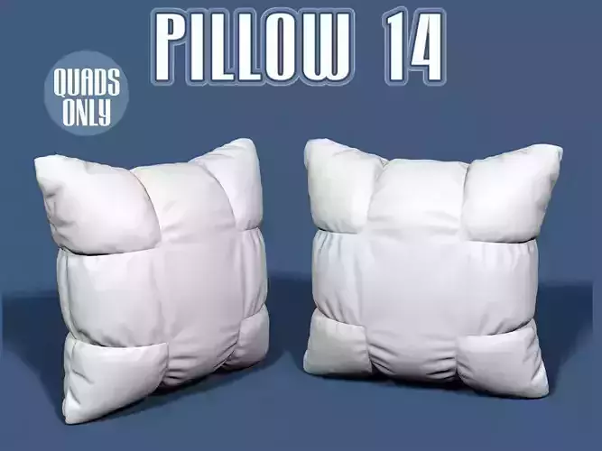 Pillow 14