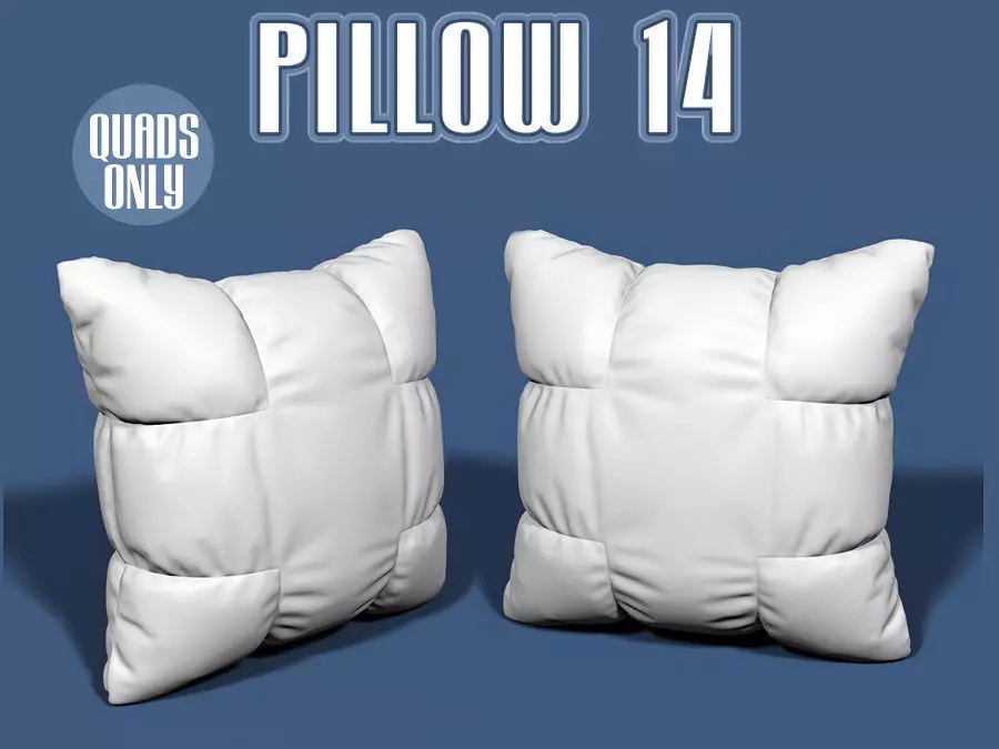 Pillow 14 3D model_0