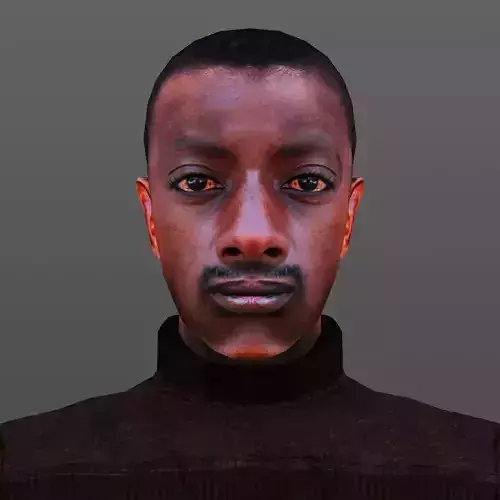 MAN 15 - WITH 250 ANIMATIONS Low-poly 3D model