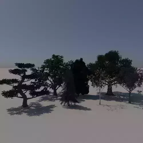 PBR Trees group of in snow