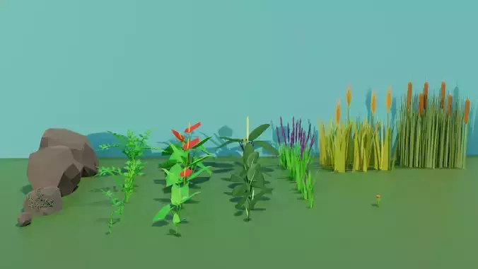 small plants collection