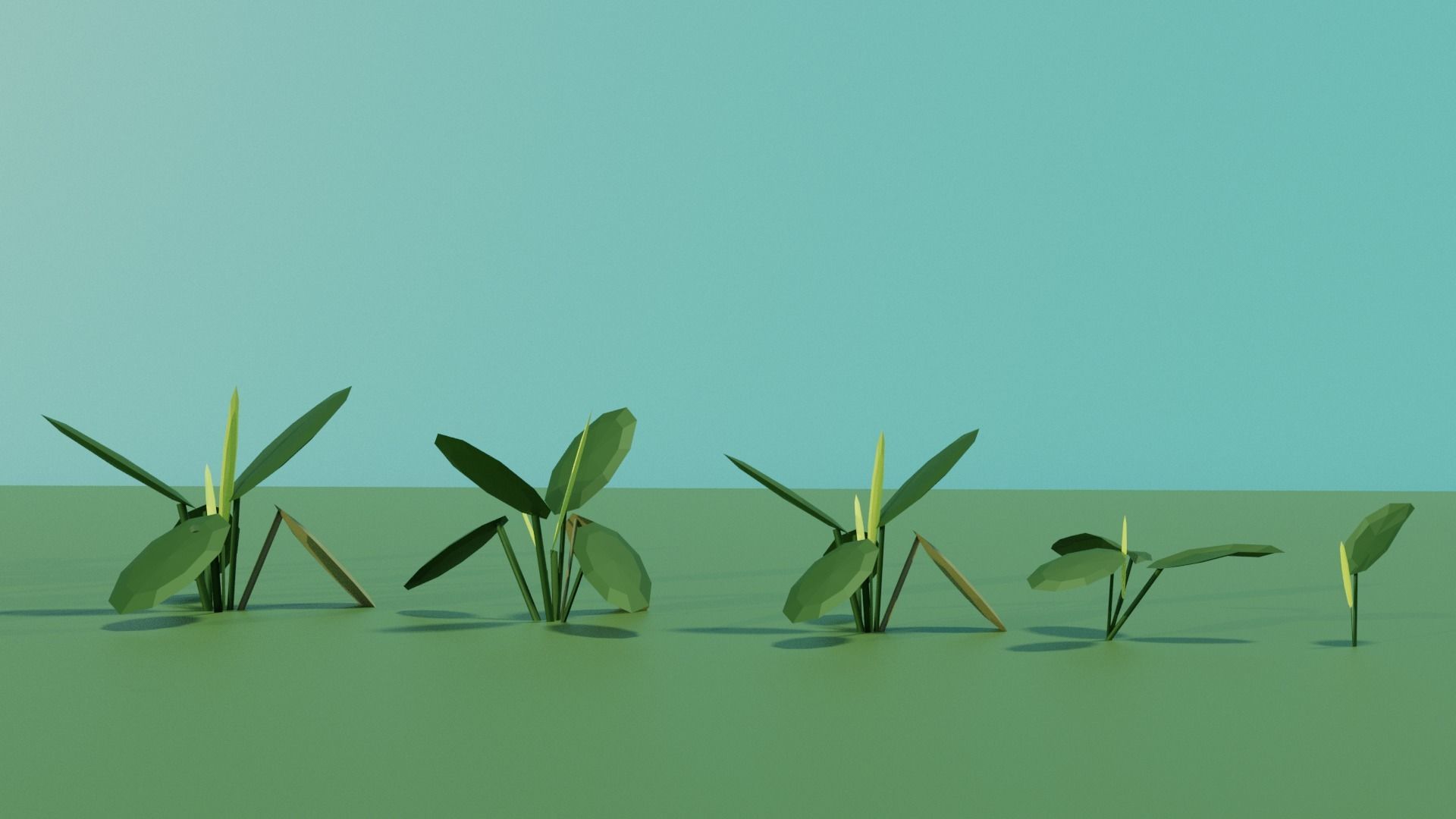 small plants collection Low-poly 3D model_5