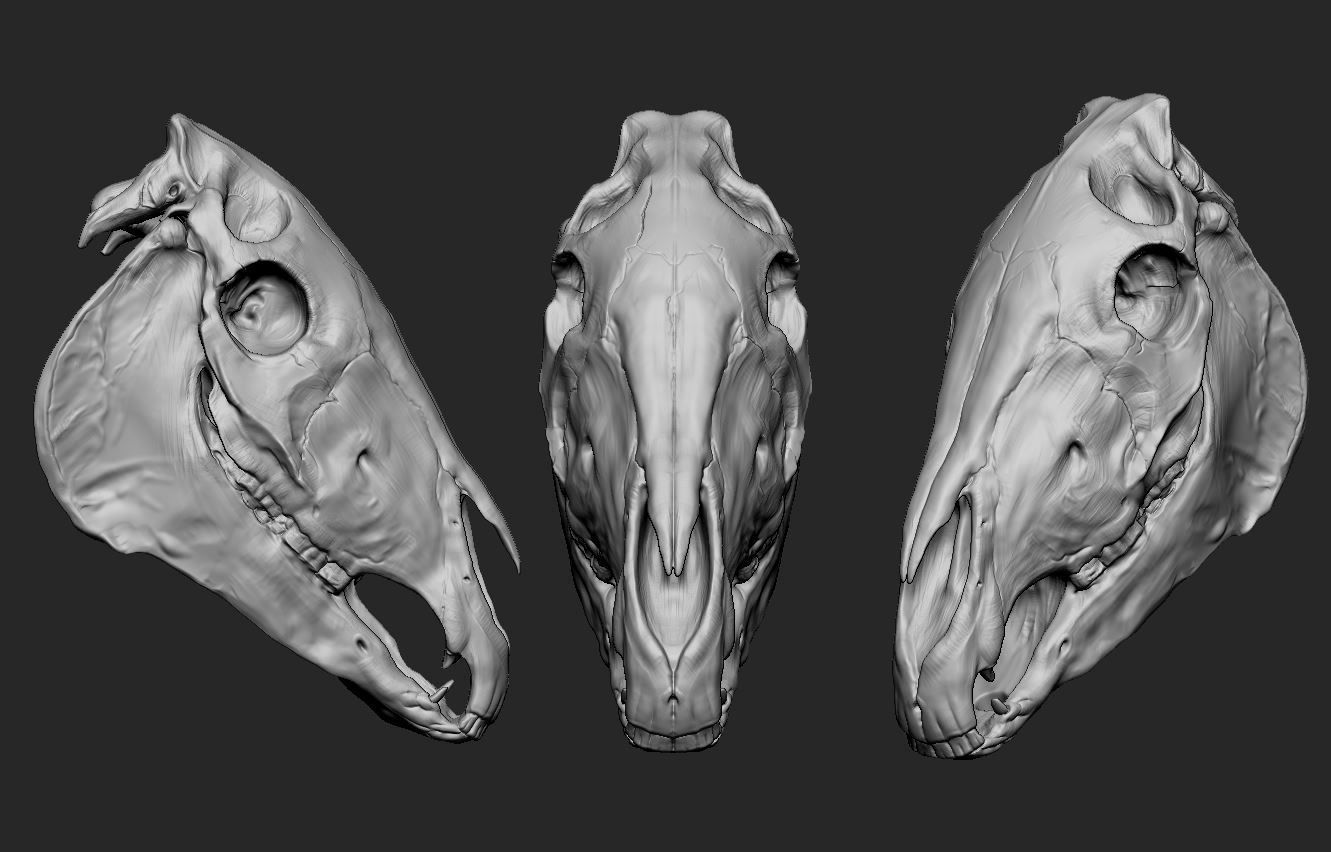 Horse Skull 3d Print Model 3D print model_8