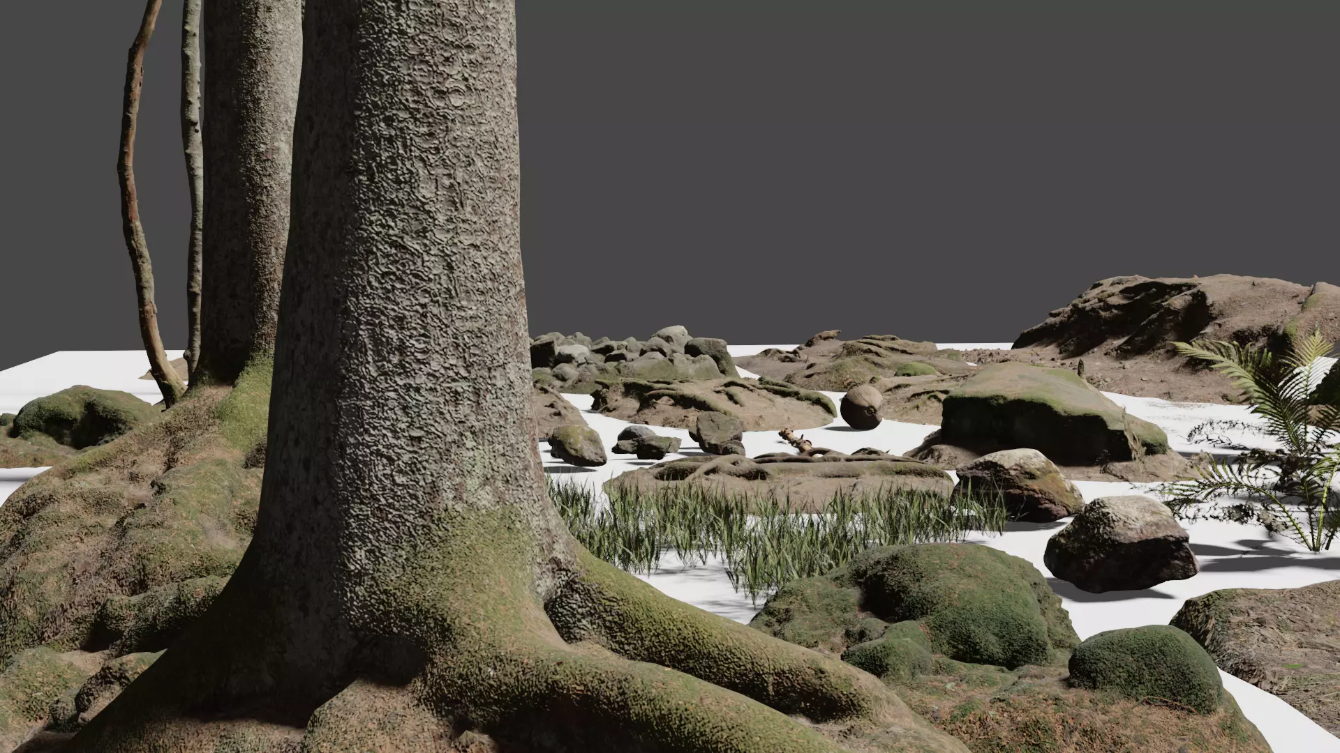 Forest pack 3D model