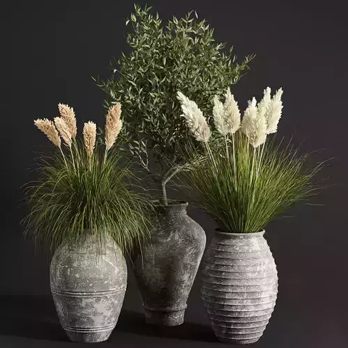 Indoor plant collection 11 3D model
