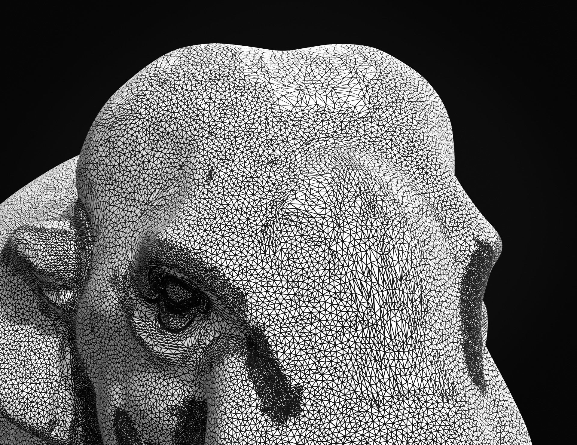 Asian Elephant II 3D print model_14