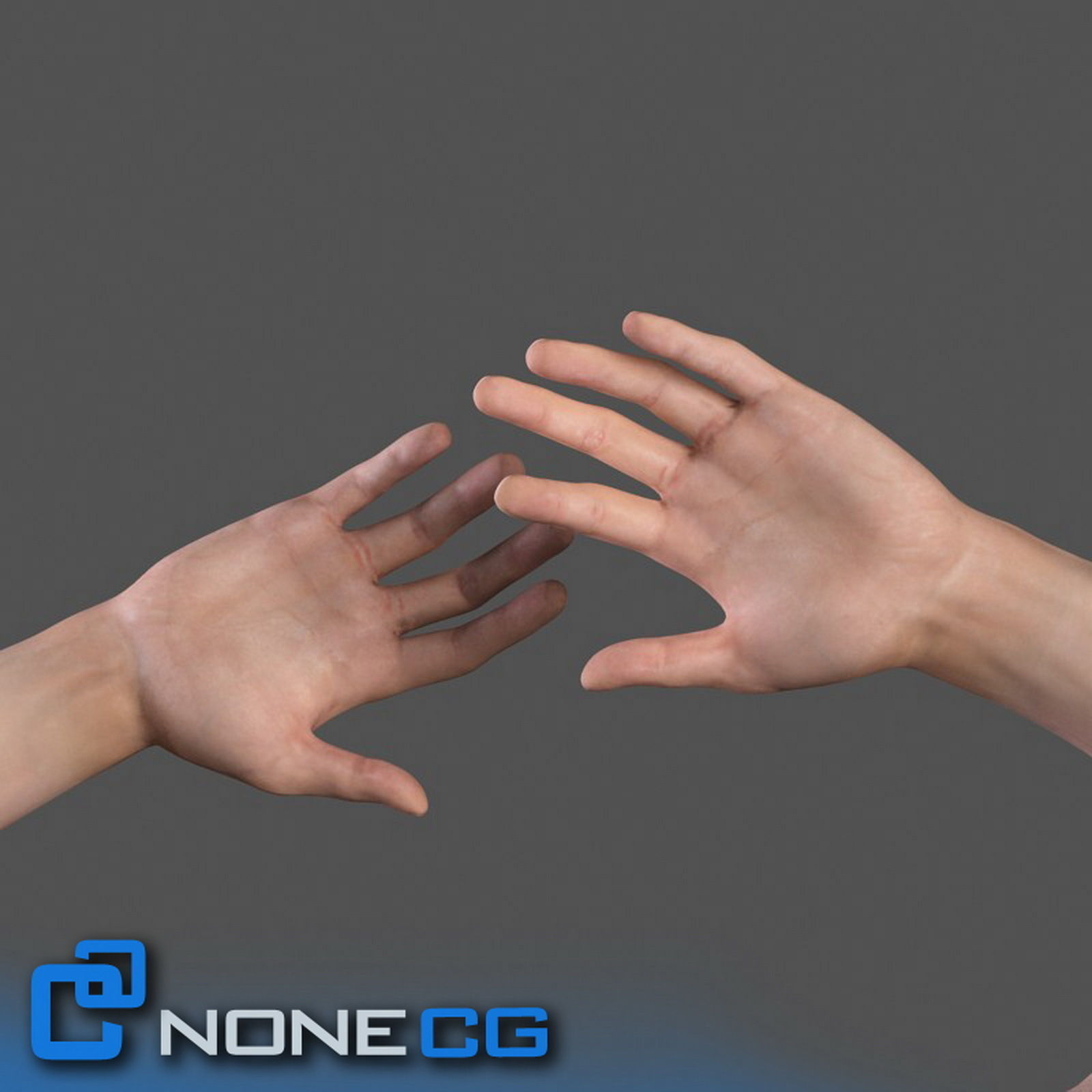 Adult Male Arms and Hands Free 3D model_5