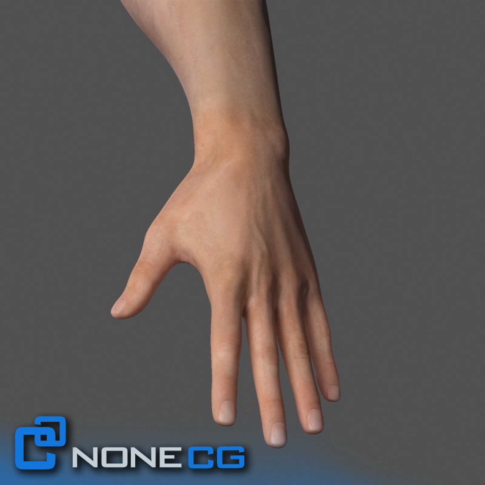 Adult Male Arms and Hands Free 3D model_8