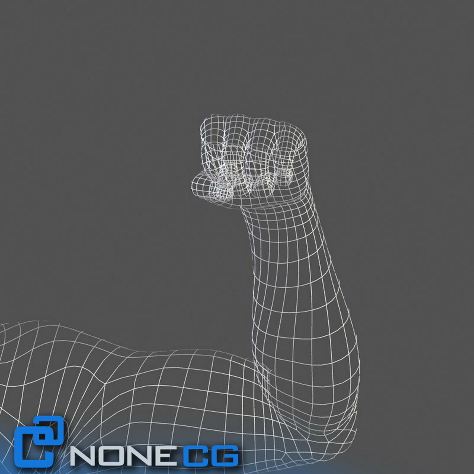 Adult Male Arms and Hands Free 3D model_10