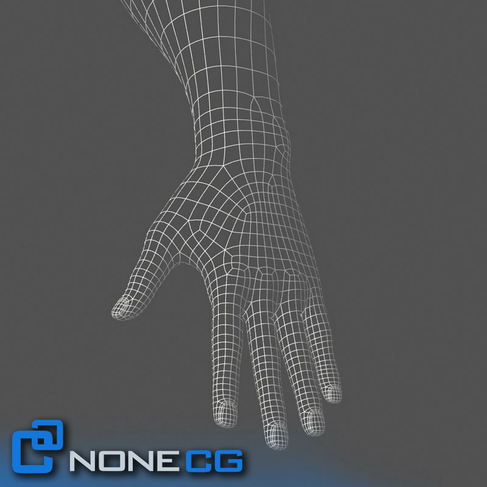 Adult Male Arms and Hands Free 3D model_9