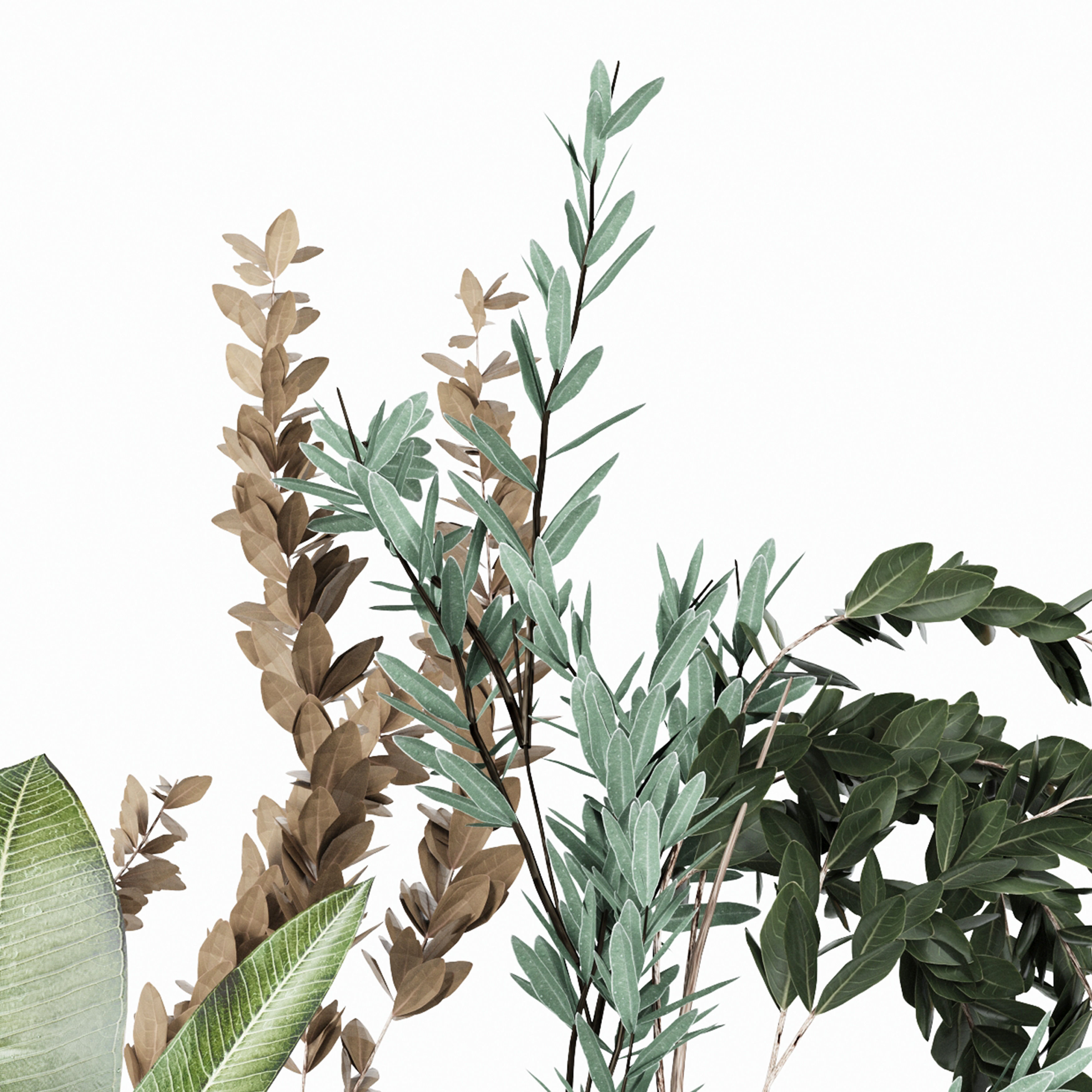 Flower Pack 208C 3D model_2