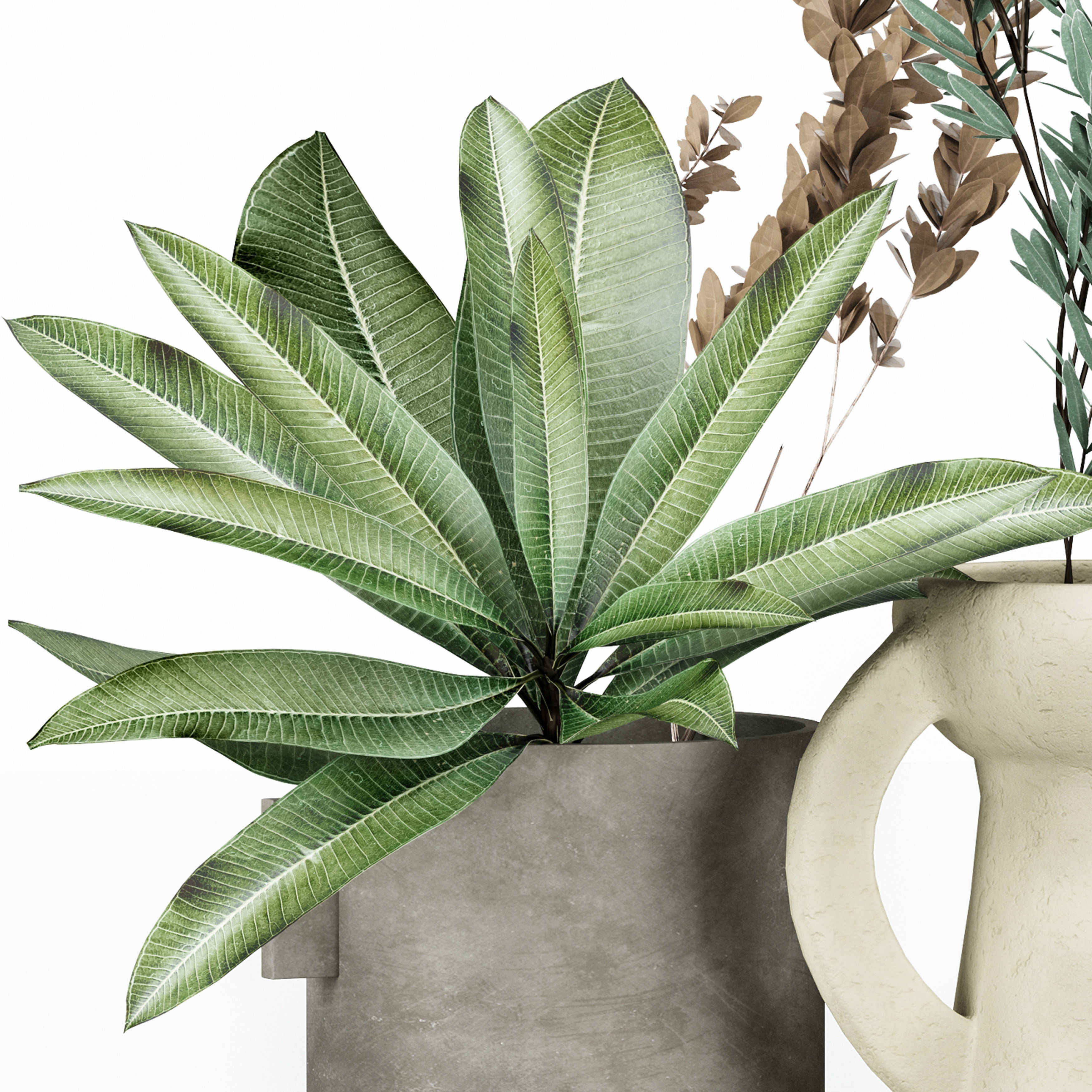 Flower Pack 208C 3D model_1