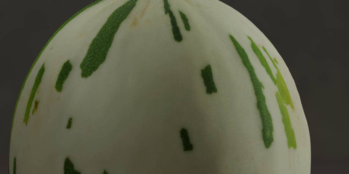 Photorealistic Gaya Melon Low-poly 3D model_6