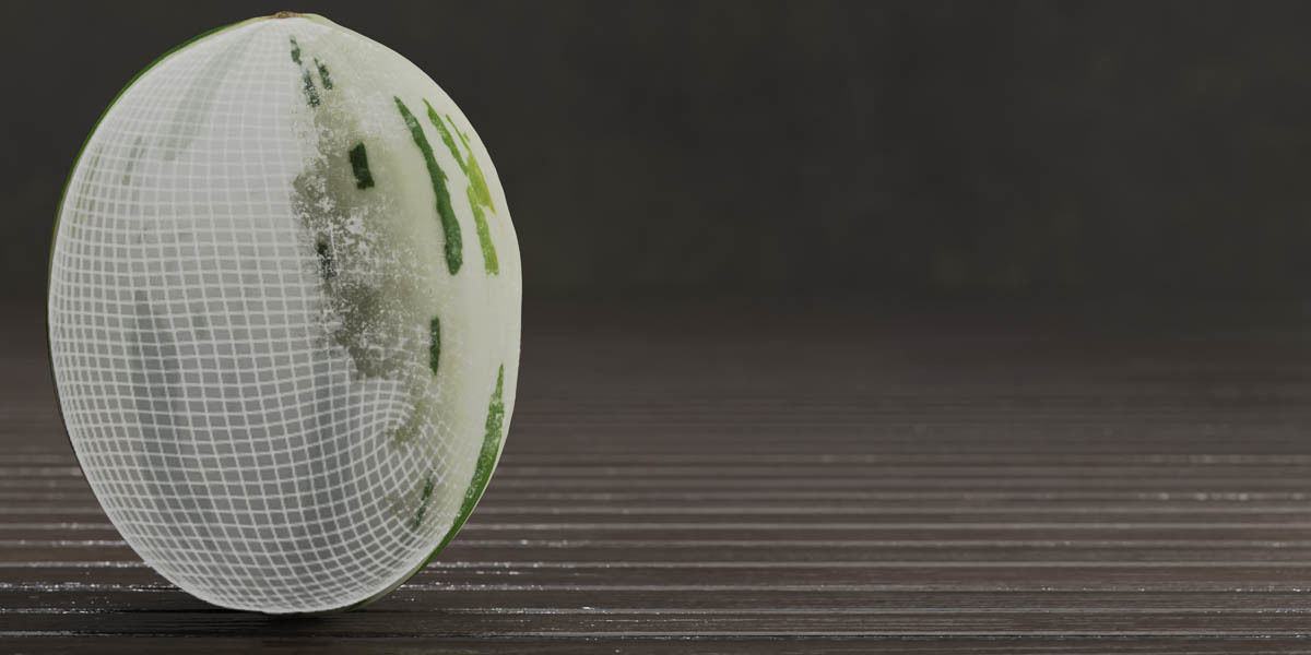 Photorealistic Gaya Melon Low-poly 3D model_7