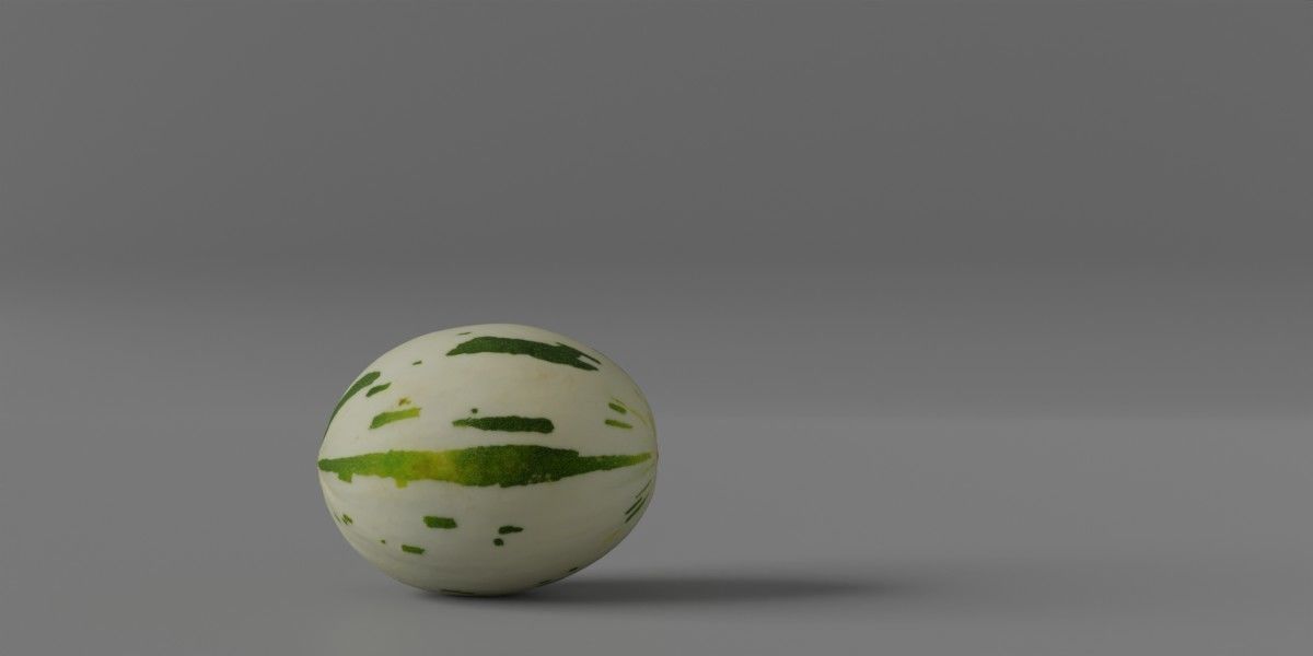 Photorealistic Gaya Melon Low-poly 3D model_2
