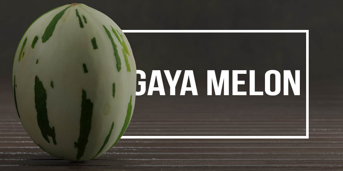 Photorealistic Gaya Melon Low-poly 3D model_1