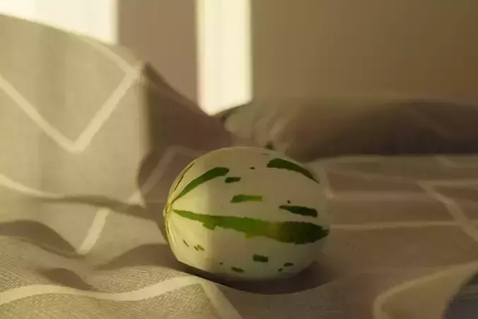 Photorealistic Gaya Melon Low-poly 3D model